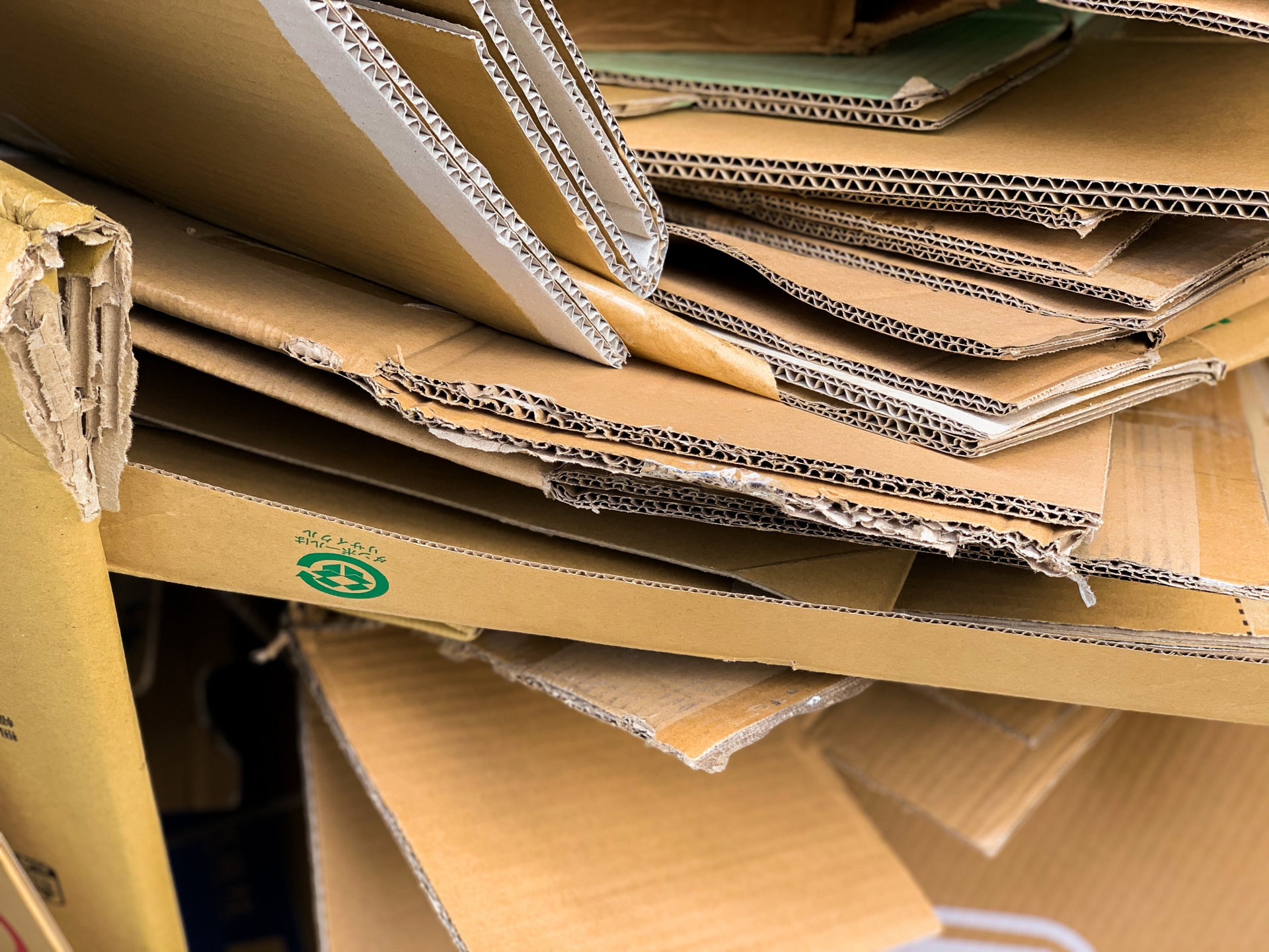 ダンボール回収